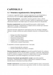 Structurile organizatorice de management - tipurile acestora - Pagina 4