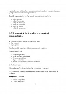Structurile organizatorice de management - tipurile acestora - Pagina 5