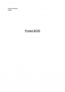 Proiect BCRI - Pagina 1