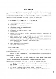 Recrutarea și selecția personalului în SC Sephora Marinopolulos SA - Pagina 4