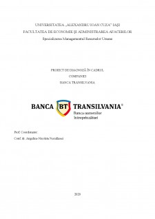 Diagnoză HR Banca Transilvania - Pagina 1