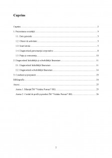 Analiza - Diagnostic a lichidității și solvabilității financiare a societății Purcari Winery - Pagina 2