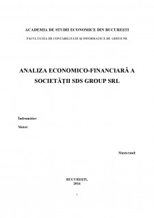Analiza economico-financiară a societății SDS Group SRL - Pagina 1