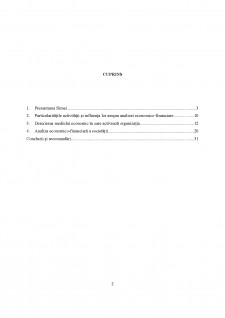 Analiza economico-financiară a societății SDS Group SRL - Pagina 2