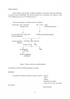 Analiza procesului tehnologic de obținere a acidului glutamic - Fermentația glutamică - Pagina 5