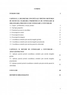 Contabilitate consolidată - Metode de consolidare a conturilor - Pagina 2