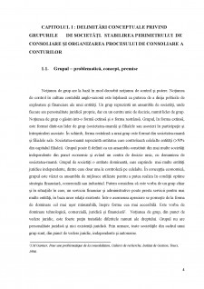 Contabilitate consolidată - Metode de consolidare a conturilor - Pagina 4