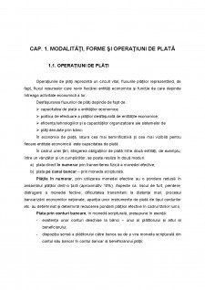 Analiza instrumentelor de plață la SC Eurom Bank SA sucursala Iași - Pagina 3