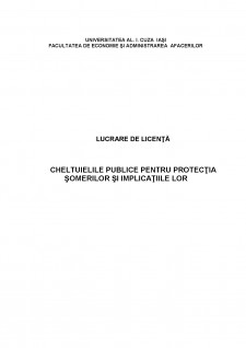 Cheltuielile publice pentru protecția șomerilor și implicațiile lor - Pagina 1