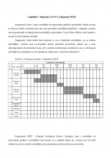Proiectarea unui sistem informatic pentru gestiunea stocurilor - Pagina 3