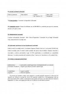 Plan de afaceri - SC VanderLand SRL - Pagina 4