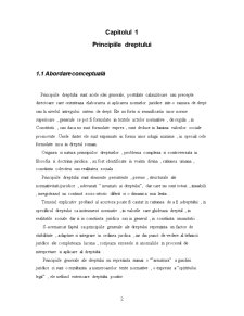 Principiile Dreptului - Pagina 3