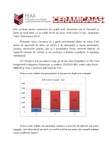Analiza surselor de finanțare ale întreprinderii SC Ceramica SA - Pagina 4
