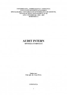 Audit intern - Pagina 1