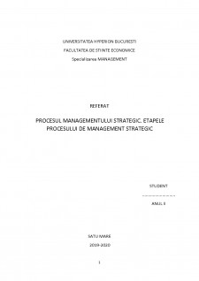 Procesul managementului strategic. etapele procesului de management strategic - Pagina 1