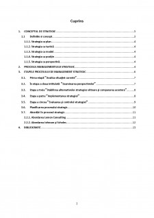 Procesul managementului strategic. etapele procesului de management strategic - Pagina 2