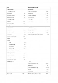 Portofoliu contabilitate generală - aplicații - Pagina 2