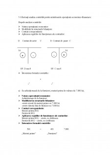 Portofoliu contabilitate generală - aplicații - Pagina 5