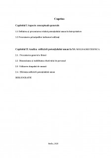 Analiza utilizării potențialului uman, studiu de caz - MoldAgrotehnica SA - Pagina 2