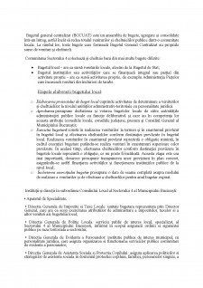 Analiza sistemului bugetar al sectorului 4 București - Pagina 2