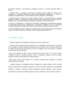 Analiza sistemului bugetar al sectorului 4 București - Pagina 3