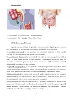 Îngrijirea pacientului cu apendicită acută - Pagina 4