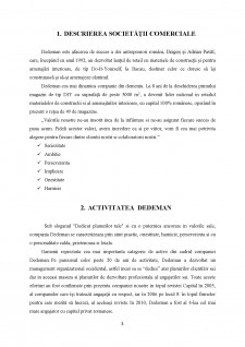 Logistica și distribuția mărfurilor Dedeman - Pagina 3
