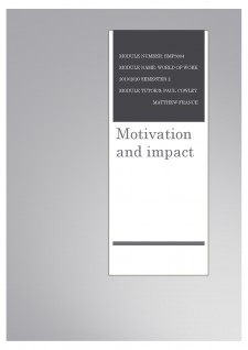Motivation and impact - Pagina 1
