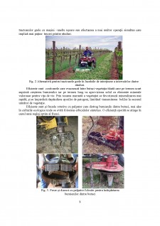 Combaterea integrată a buruienilor în viticultură - Pagina 3