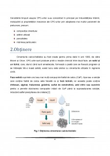 Ciment calcio-fosfatic - Tendințe moderne - Pagina 4