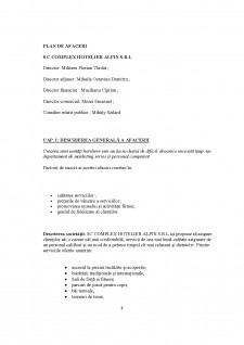 Managementul afacerii - SC Complex Hotelier Alpin SRL - Pagina 3