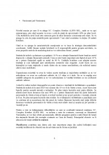 Managementul afacerii - SC Complex Hotelier Alpin SRL - Pagina 5