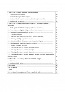 Panul lucrărilor de îngrijire și conducere a arboretelor din UP I Slăvești, OS Slăvești - Pagina 2