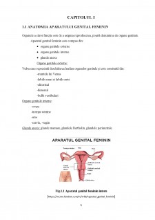 Îngrijirea pacientelor cu avort spontan - Pagina 4