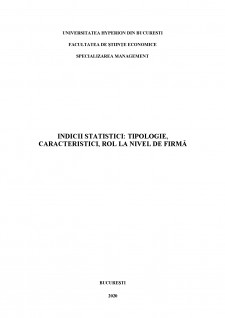 Indicii statistici - tipologie, caracteristici, rol la nivel de firmă - Pagina 2