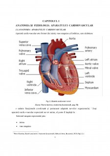 Variații ale pulsului și tensiunii arteriale ca răspuns la antrenamentul sportiv - Pagina 5