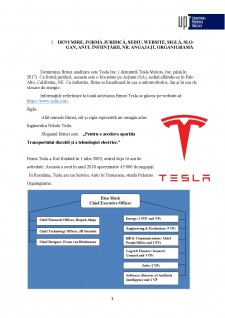 Cercetarea de marketing - Tesla Inc - Pagina 3