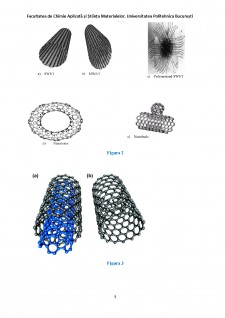 Nanotuburi de carbon - Pagina 5