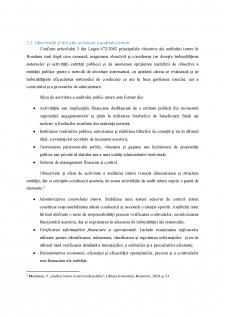 Obiective și forme de organizare în audit intern - Pagina 4