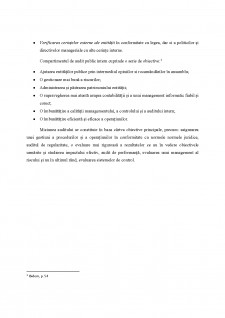 Obiective și forme de organizare în audit intern - Pagina 5