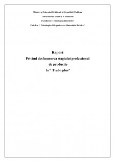 Raport privind desfășurarea stagiului professional de producție la Trabo pluș - Pagina 1