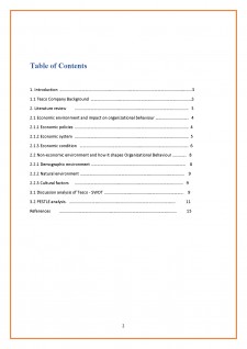 Tesco Business and Management - Pagina 3