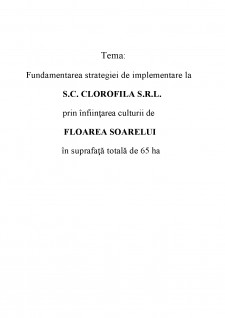 Fundamentarea strategiei de implementare la SC Clorofilă SRL prin înființarea culturii de floarea soarelui în suprafața totală de 65 ha - Pagina 2
