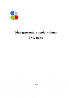 Managementul riscului valutar ING Bank - Pagina 1