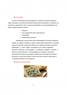 Culturi starter de fungi filamentoși pentru obținerea brânzeturilor cu mucegai tip Roquefort - Pagina 4