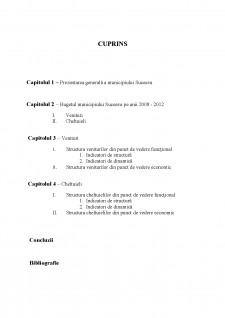 Bugetul local al Municiupiului Suceava pe anii 2008 - 2012 - Pagina 2