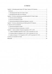 Analiza structurii portofoliilor pentru Societățile de Investiții Financiare - Abordare comparativă (SIF1 Banat-Crisana și SIF4 Muntenia) - Pagina 2
