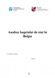 Analiza bugetului de stat în Belgia - Pagina 1