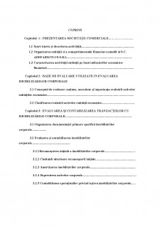 Politici și tratamente contabile privind imobilizările corporale (IAS 16) - Pagina 1