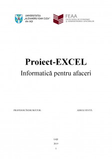 Proiect Excel - informatică pentru afaceri - Pagina 1
